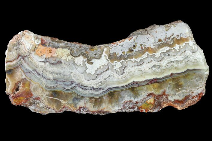 Polished Crazy Lace Agate Section - Mexico #141199
